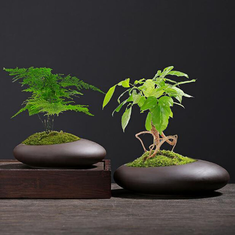 Tagine Clay Pot - Pot Tanaman Tanah Liat Ungu Retro