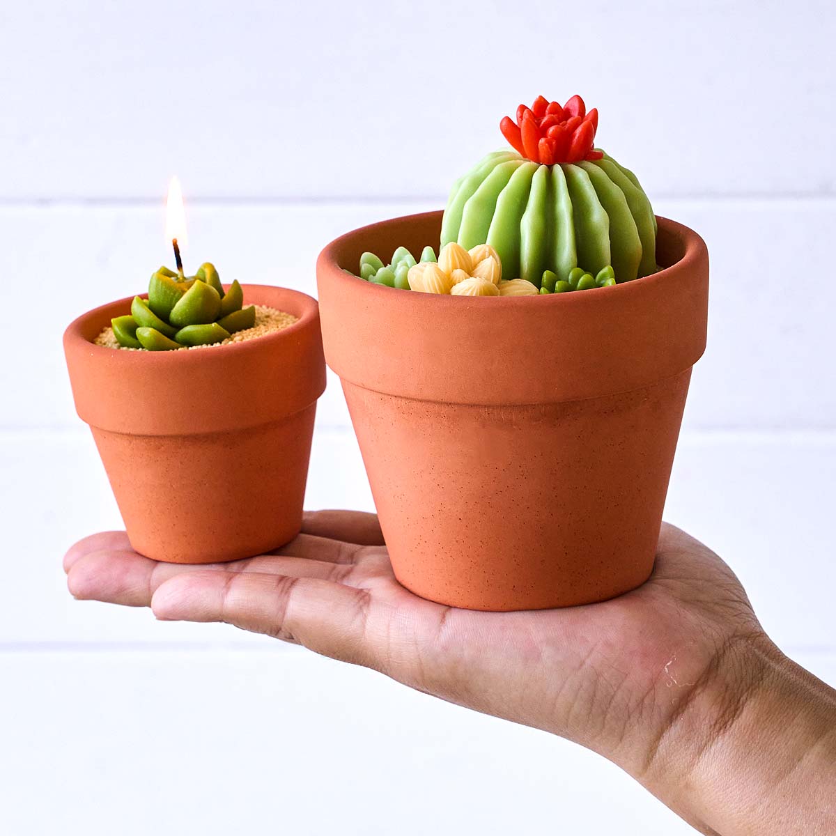 Cetakan Silikon 3D Nordic Cand - Tagine Clay Pot ulasan dan harga